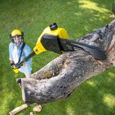 Best Residential Tree Removal  in Greensboro, NC